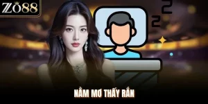 Nằm Mơ Thấy Rắn