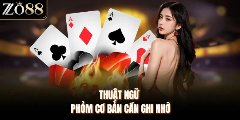 Thuật ngữ Phỏm cơ bản cần ghi nhớ